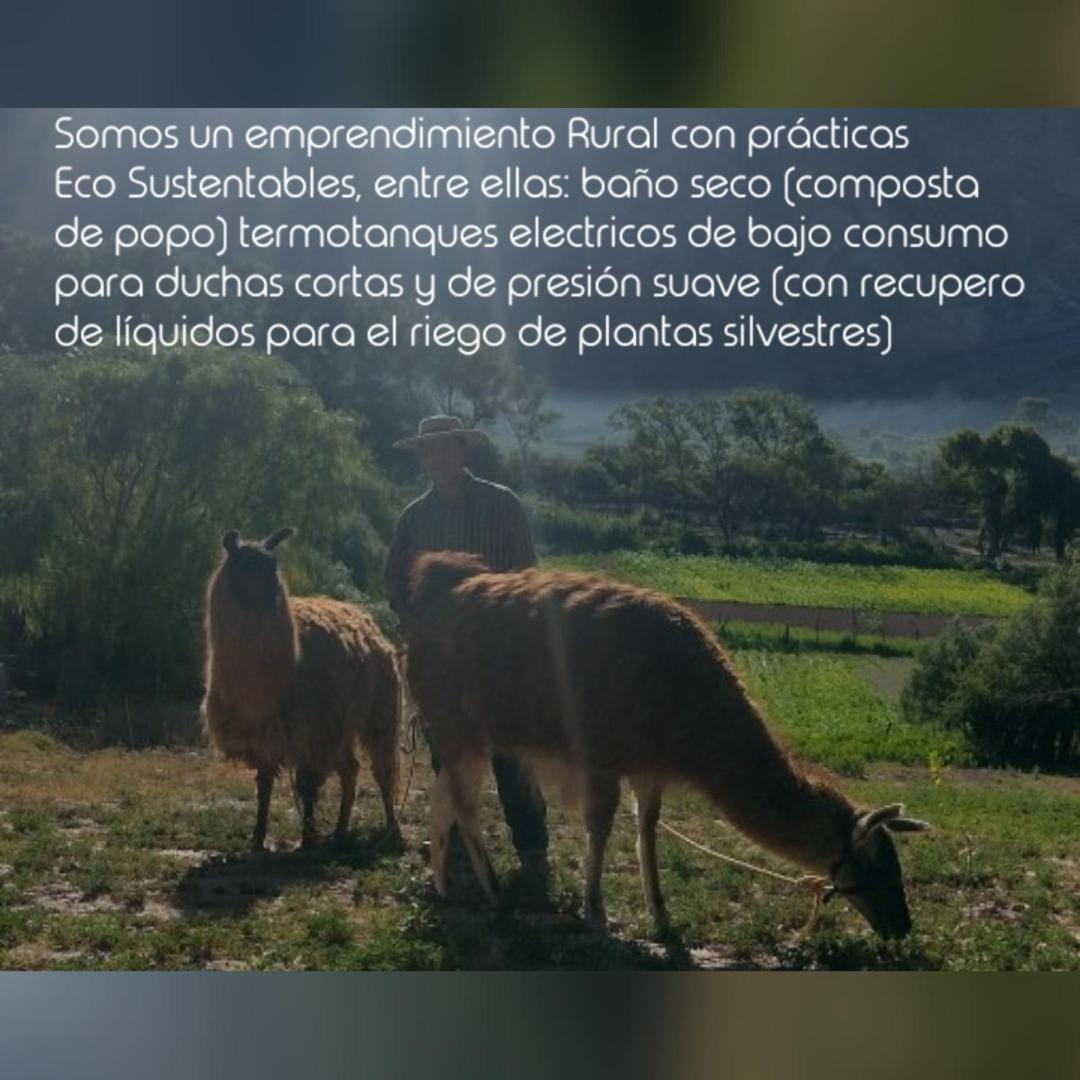 Dormir Con Llamas Maimará Exterior foto